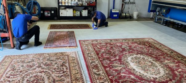 Persian Rug Cleaning Rancho Penasquitos