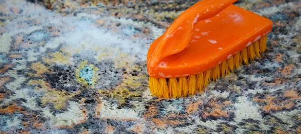 Oriental Rug Cleaning Poway