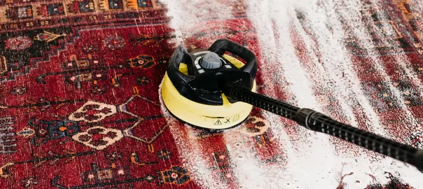 Persian Rug Cleaning Leucadia