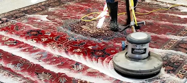 Persian Rug Cleaning San Elijo Hills