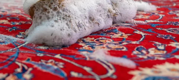 Persian Rug Cleaning Bonsall