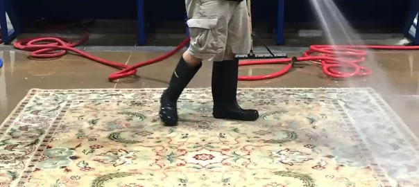 Tribal Rug Cleaning San Marcos