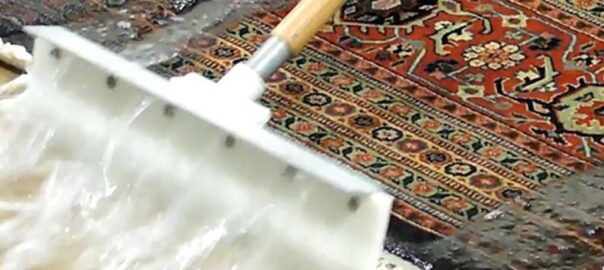 Oriental Rug Cleaning Vista